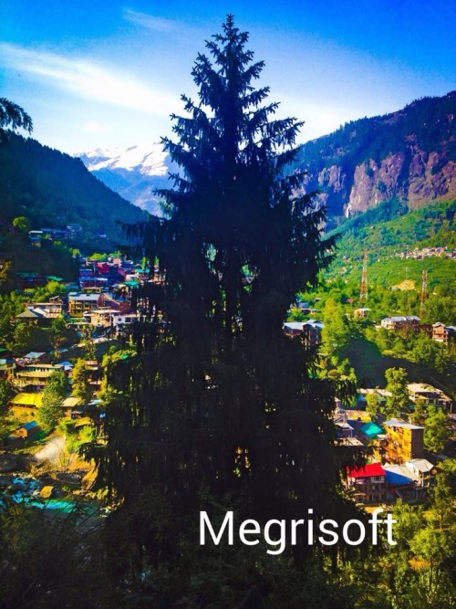 A big pine tree covered almost complete village, Image is taken from a lovely angle.