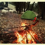 10919729_792096097586790_229622246_ncc25c