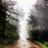 10954488_337466699782762_911808879_n859c6