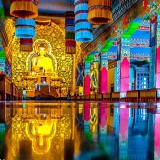 11111304_759458194171372_681943779_nefc14