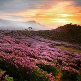 11123764_465858853564613_2019098376_na40fc