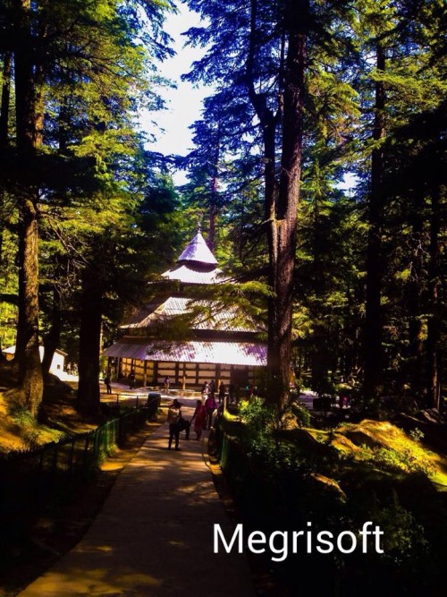 Way to Hidimba Devi Temple covered with dense forests.