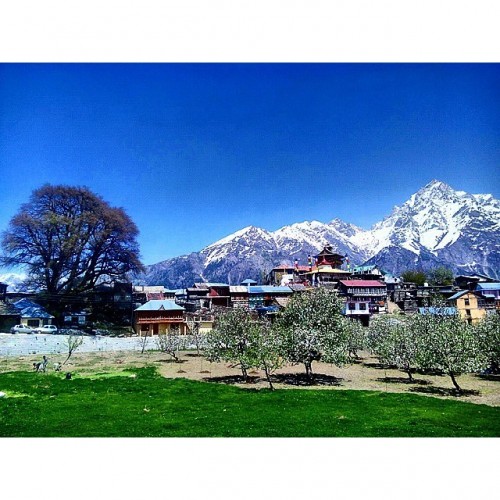 Kalpa is a small town in the Sutlej river valley, above Recong Peo in the Kinnaur district of Himachal Pradesh, India