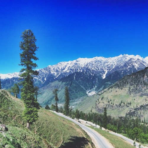 Somewhere in himachal pardesh