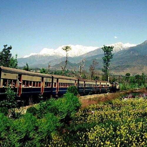 Kangra Valley is situated in Himachal Pradesh, India.
