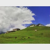 11288126_104064666596757_1467173170_n98d94