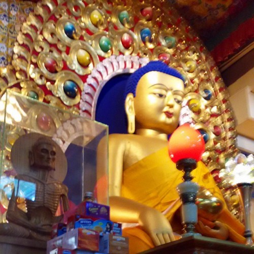 Location: Dalailama Temple , Dharamsala