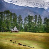 11330735_1661578050720757_664578987_n9eaf5