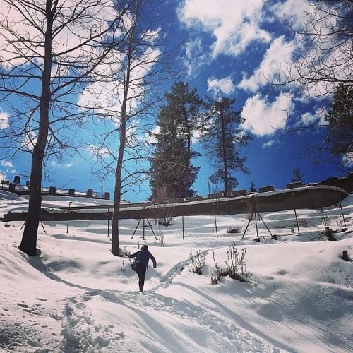 Narkanda is a town and a nagar panchayat in Shimla district in the Indian state of Himachal Pradesh.