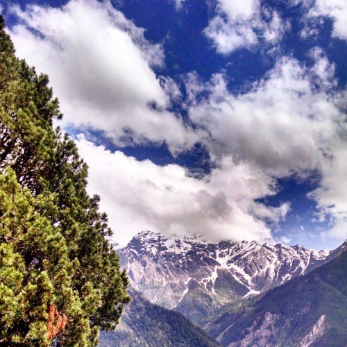 Somewhere in himachal pardesh