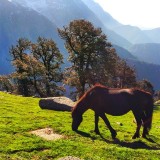 11357413_674221059378139_2077587181_n7013b