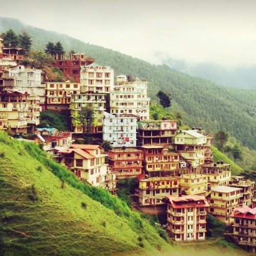 Location- Shimla, Himachal Pradesh