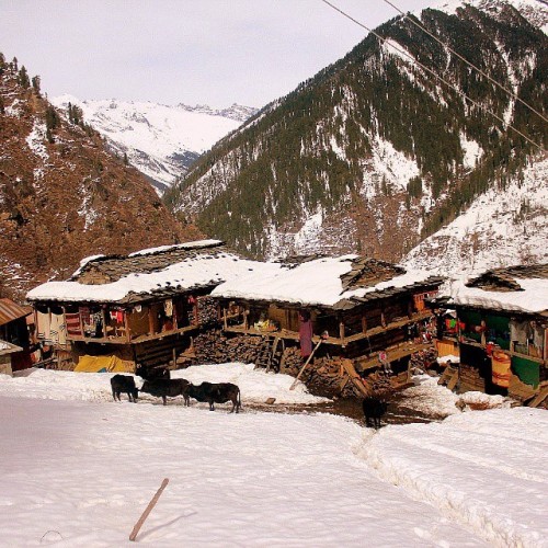 Location- Village Malana, Distt- Kullu, Himachal Pradesh
.
