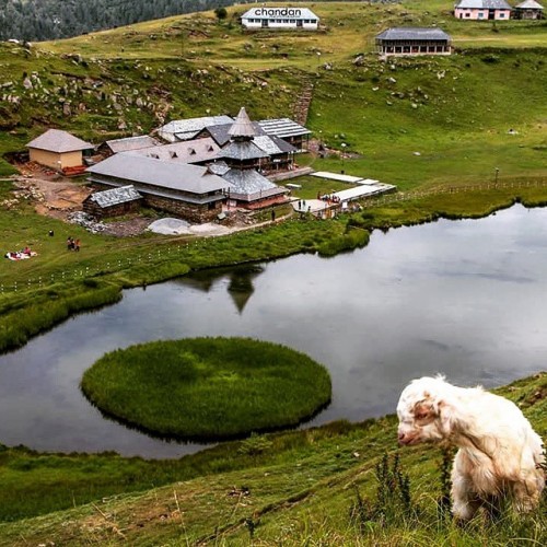Location- Prashar Lake, Distt- Mandi, Himachal Pradesh