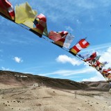 11427347_1458262141158563_144259632_n2d298