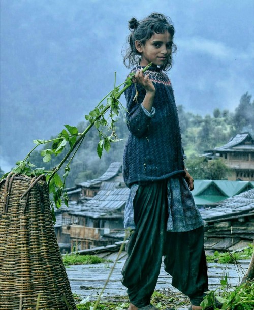 Himachal Village Lifestyle Simplicity