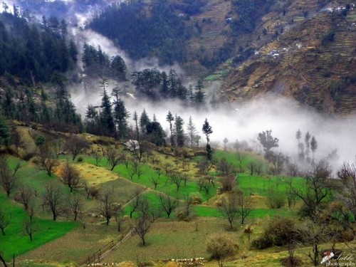 Bini Village , Banjar Valley , Kullu , Himachal