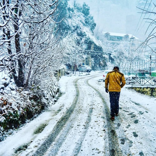 Gulaba is a village in the State of Himachal Pradesh, India. It is 27 km away from Manali and 25 km from Rohtang pass.