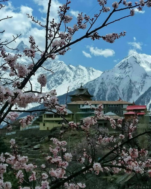 Beautiful kalpa Valley Kinnaur Himachal Pradesh