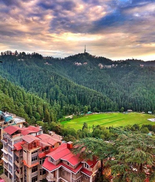 Annadale, Shimla