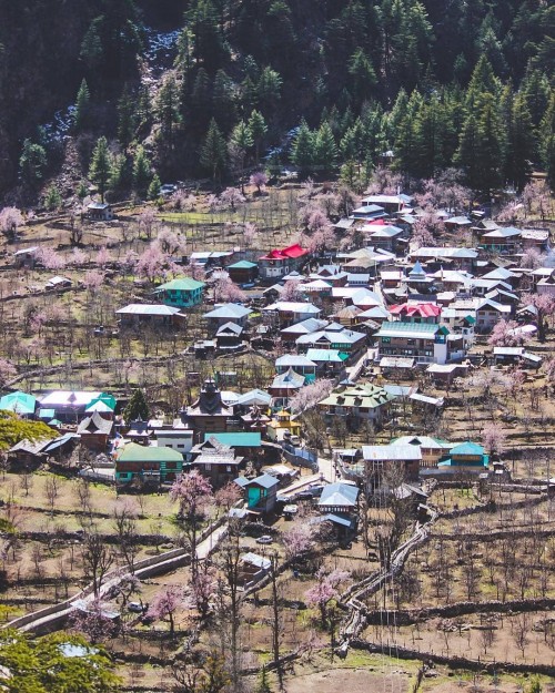 Batseri Village. Sangla Valley Himachal Pradesh