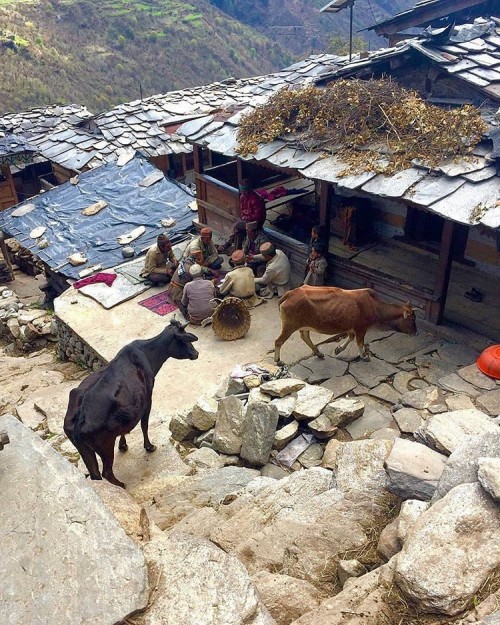 Himachal Village Life
