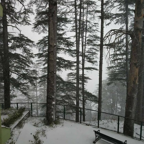 IHM Kufri (Shimla)
