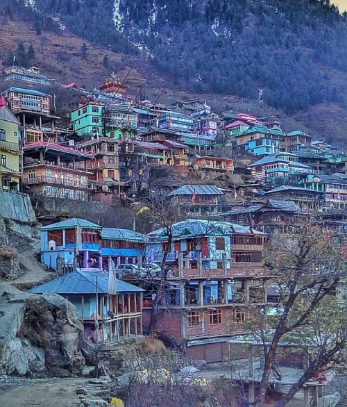 Yangpa, Himachal Pradesh