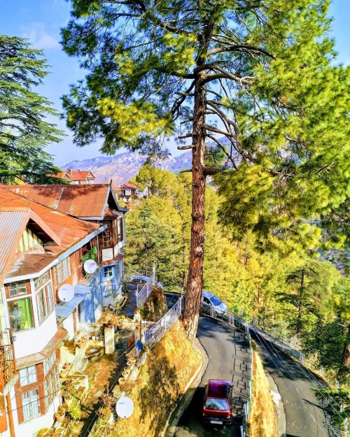 Morning View - Shimla