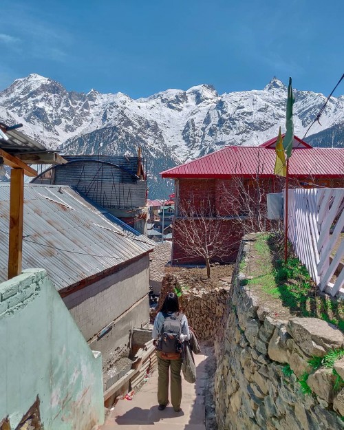 Kinner Kailash Range , Kalpa Himachal Pradesh