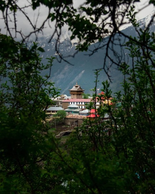 View of Kalpa through its famous apple trees.