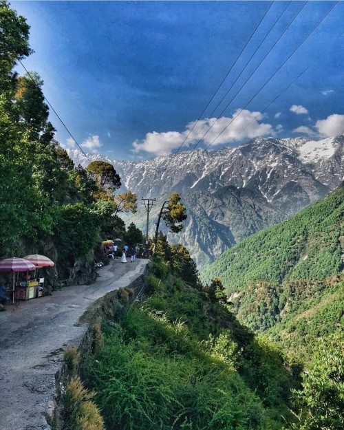 Naddi, Meclo, Himachal Pradesh