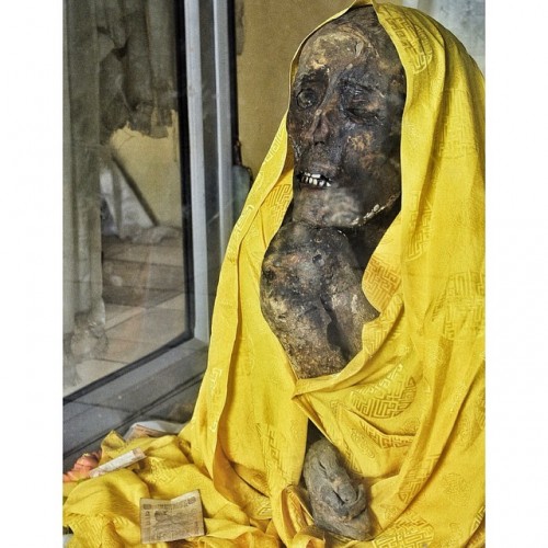The Self-Mummified Lama At Giu