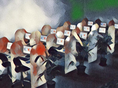 BUSINESS-PROCESS-OUTSOURCING-SYLLABUS-COSTA-RICAa06965317625c137.jpg