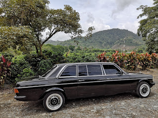 COSTA-RICA-COFFEE-PLANTATION.-MERCEDES-W123-LANG-TOURSa1a86bf5c99e3649.jpg