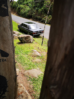COSTA-RICA-COUNTRY-LIMOUSINE.-300D-MERCEDES-W123-TOURS751d9ef5ff74b3f6.jpg
