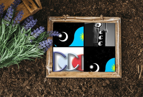 Day-and-night-podcast-sales-guest-Richard-Blank-Costa-Ricas-Call-Center1855a8fbfb48e28a.jpg