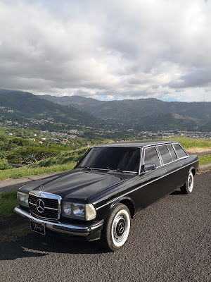 ESCAZU-MANSION-MOUNTAINS.-MERCEDES-W123-LIMO17ca339698351fdc.jpg