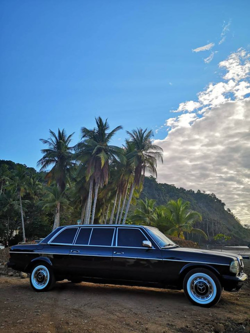 JACO-BEACH-PALM-TREE-LIMOUSINE-CENTRAL-AMERICAd74b028bcfa04815.jpg