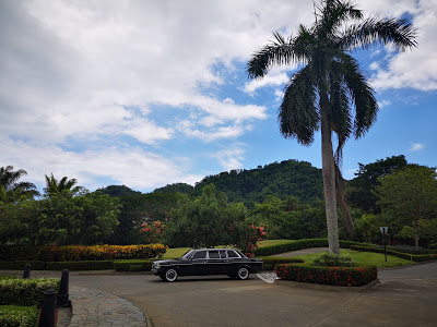 LARGE-PALM-TREE-AND-MERCEDES-LIMOUSINE-COSTA-RICA3ab807782e00f135.jpg