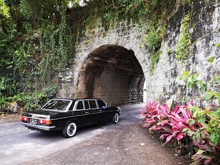 MERCEDES-300D-W123-LIMOUSINE-IN-Puentes-del-Ferrocarril-en-Parruas.-COSTA-RICAcb93310504a69035.jpg