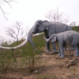 ModelOfExtinctElephant1ad36