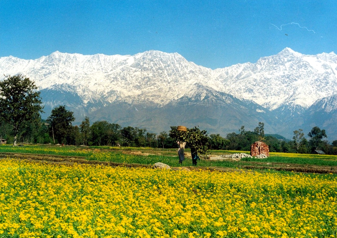 View Of Palampur Himachal Photo Gallery