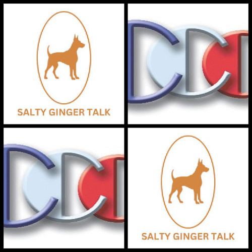 Salty-Ginger-Talk-Interview-guest-expert-Richard-Blank-Costa-Ricas-Call-Center.a56944085ad91852.jpg