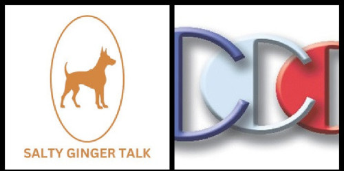 Salty-Ginger-Talk-Interview-sales-guest-Richard-Blank-Costa-Ricas-Call-Center.6b7c494c3b336fcf.jpg