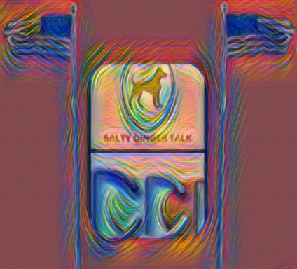 Salty-Ginger-Talk-Interview-telemarketing-guest-Richard-Blank-Costa-Ricas-Call-Center.46c2c12e91b30e76.jpg