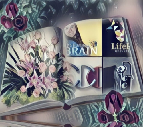 The-business-brain-podcast-by-ST-Rappaport-of-LifePix-University-B2C-guest-Richard-Blankf27d8f3a4a3adc7d.jpg
