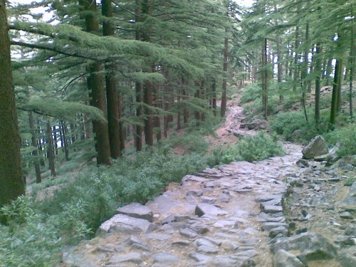 Triund431b4.jpg