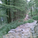 Triund431b4