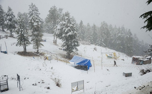 Shimla:
Himachal Pradesh's Shimla district received its first early snowfall in over 15 years on Monday, bringing the temperature down by 5 to 6 degrees Celsius.